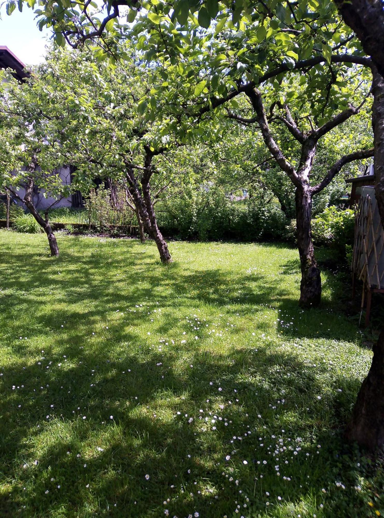 Apartma Rutar Tolmin Exterior foto